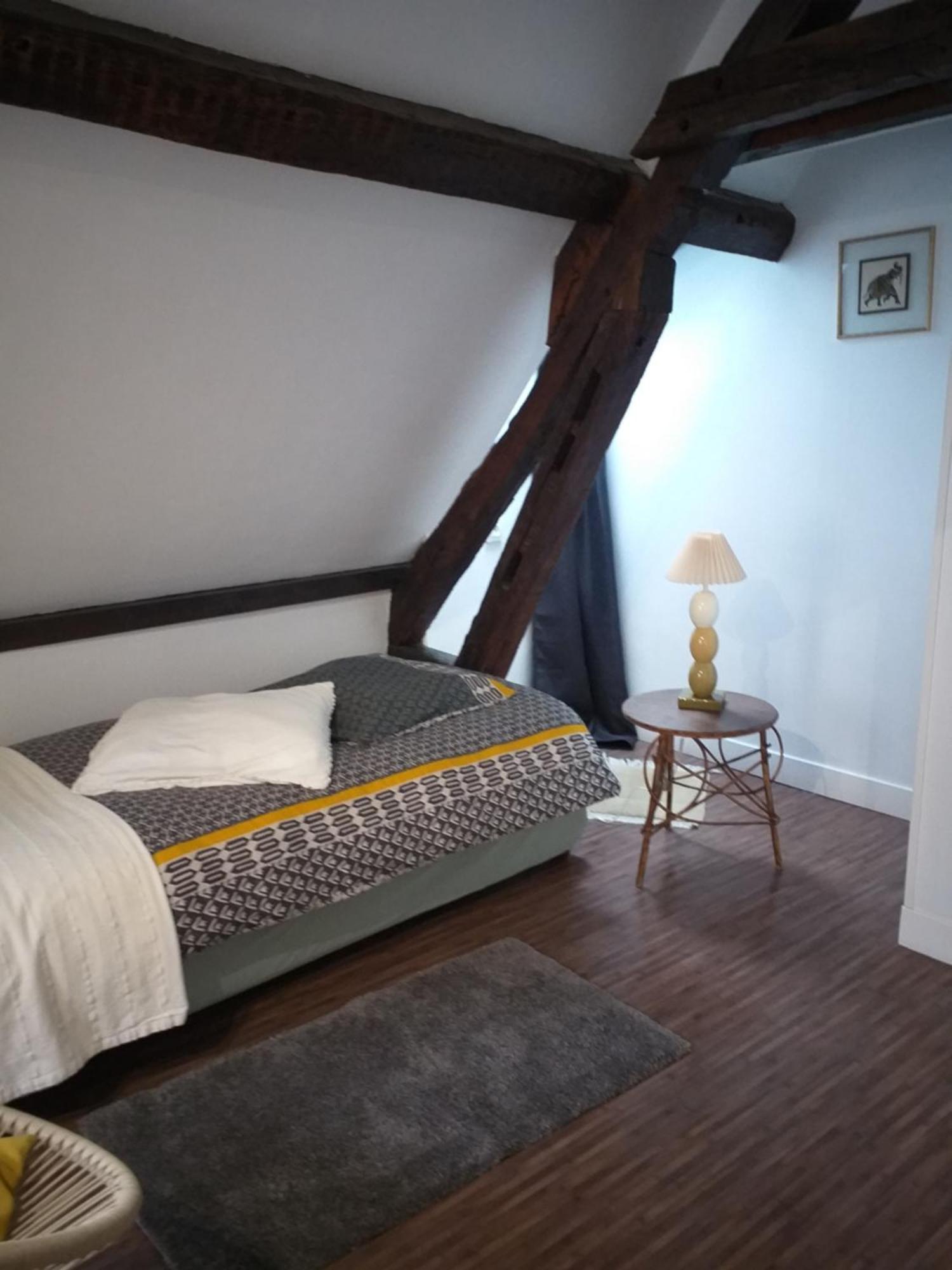 Apartment L'ecuyere-maison De Ville-secteur Cathedrale-parking Prive Gratuit *